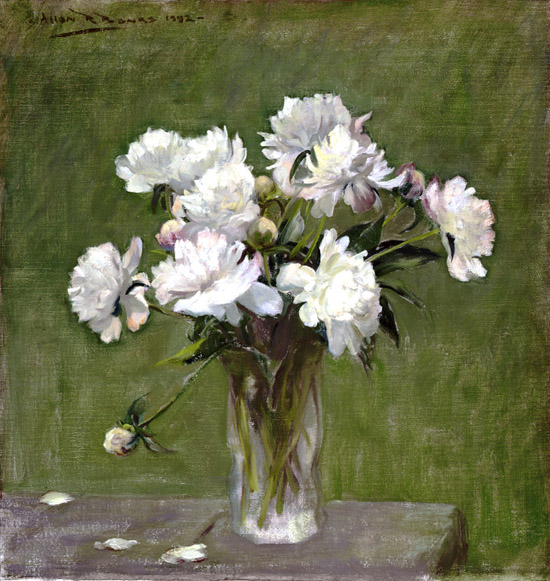 © Allan R. Banks, Peonies